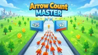 Arrow Count Master