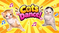 Cats Dance!
