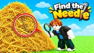 Find the Needle