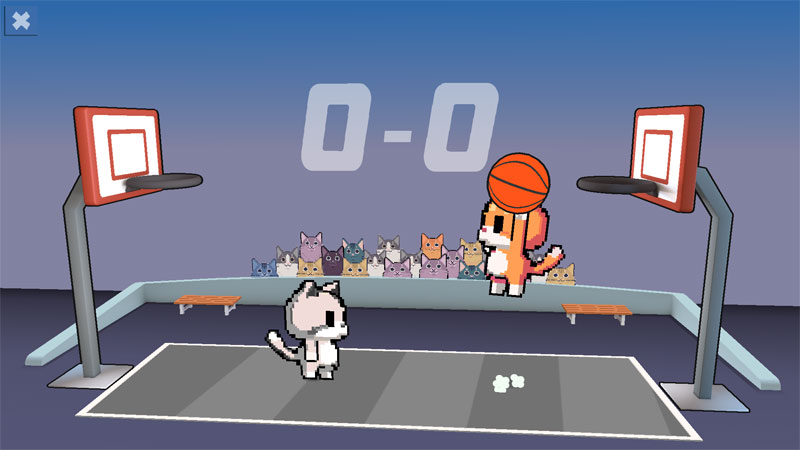 Basket Cats