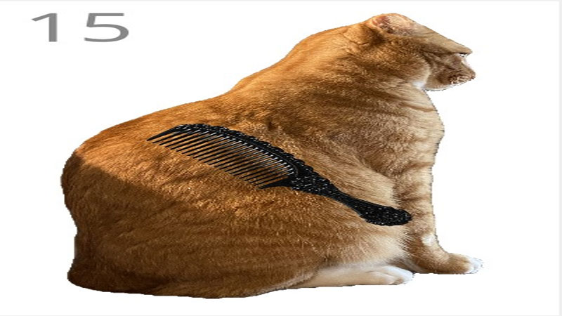 Brush Jjaemu