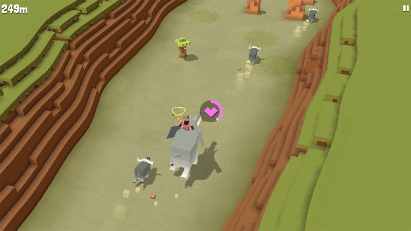Cowboy Safari
